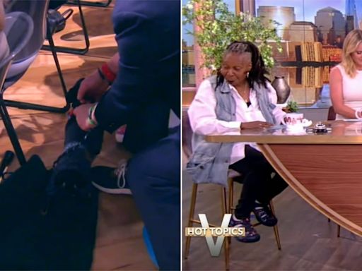 Whoopi Goldberg adorably distracted by dog in 'The View' audience