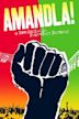 Amandla! A Revolution in Four-Part Harmony