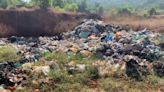 Navi Mumbai: NGT Acts On Complaint After Chemical Dumping In Kalyan Nullah Sparks Investigation