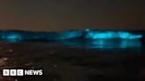 Dunraven Bay: Blue waves caused by bioluminescent plankton