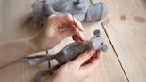 The Best Needle Felting Kits for Fiber Works