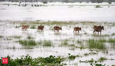 Assam floods: 131 wild animals, including 6 rhinos, dead in Kaziranga National Park - The Economic Times