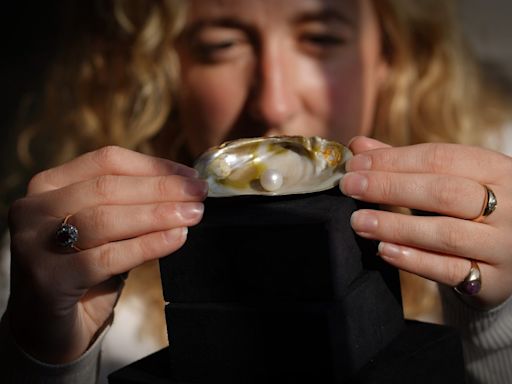 Legendary Tay pearl for sale as Perth jeweller Cairncross collection goes under hammer