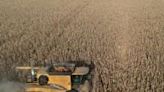 Argentina has surplus harvest, but farmers want more from Milei