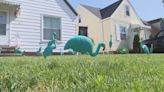 Raising awareness for ovarian cancer: Parma woman puts teal flamingos on display