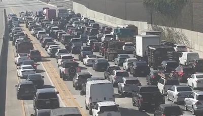 Protesters block traffic on busy LA freeway