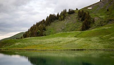 Savoie : une mère et sa fille se baignent dans le lac du Bourget et en ressortent dans un état catastrophique