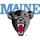 Maine Black Bears