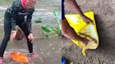 VIDEO: Lagos del parque Tangamanga I se desbordan y dejan calles llenas de peces