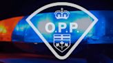 Police say suspended driver in northern Ont. drove stolen vehicle to police station