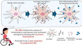 A new therapeutic target offers a promising pathway for multiple sclerosis treatment