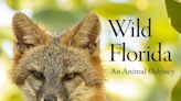 Midtown Reader to host book signing for the author of 'Wild Florida: An Animal Odyssey'