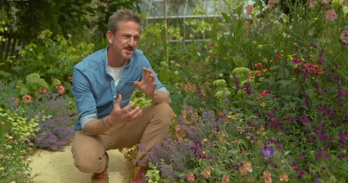 Gardeners' World star displays ‘brilliant’ item to protect your veg from pests