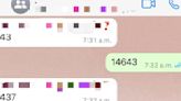 WhatsApp: por qué motivo los jóvenes se mandan el número “14643″ como mensaje y qué significa