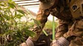Marijuana Reclassification Unlikely to Mean Any Changes for Troops and Veterans, at Least for Now