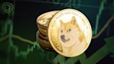 Why Is The Dogecoin Price Down Today?