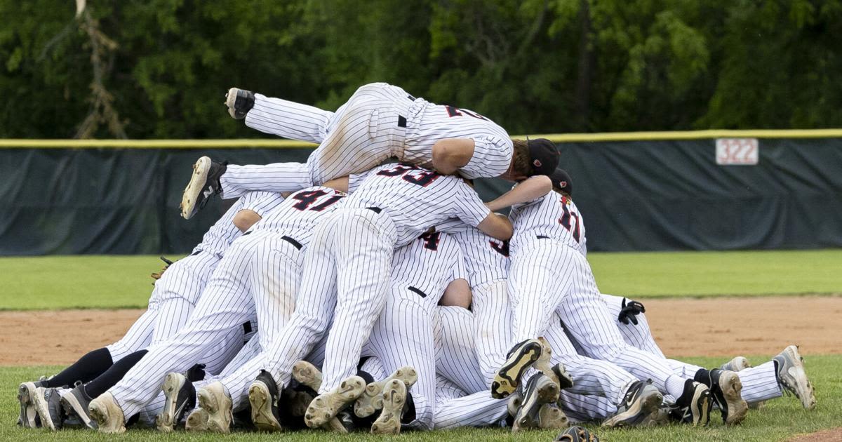 2 Madison-area teams headed to the WIAA state baseball tournament