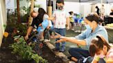 Duke and Duchess of Sussex working on series about gardening, cooking and polo