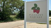 ACU grads sprout u-pick strawberry farm in Clyde
