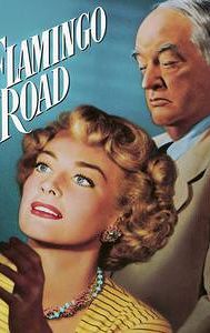 Flamingo Road (film)