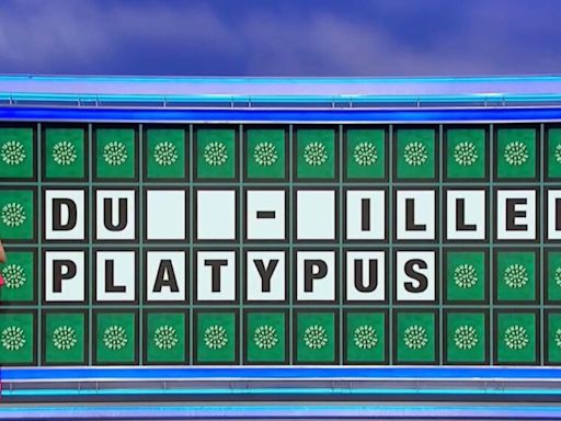 'Wheel of Fortune' Fans Shocked By Contestant's 'Painful' Letter Pick on Easy Puzzle