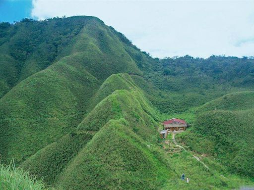 宜蘭抹茶山設人流計數器 年估16萬人次朝聖