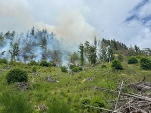 Dearinger Fire burns near Darrington