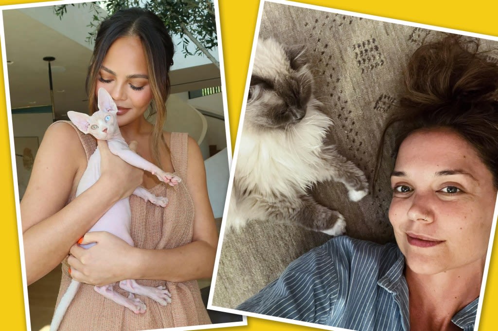 Best star snaps of the week: Cat ladies unite!