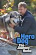 Hero Dog: The Journey Home