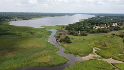 Celebrando el Día del Maestro en Perú: la historia de Nataly Concha y su cruzada por la conservación de la taricaya en Pucallpa