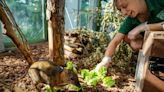 Staff at Bristol Zoo bid a fond farewell to Clifton site