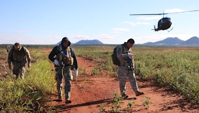 La Nación / Trabajo en conjunto de la Senad y policía brasileña da fuerte golpe al narcotráfico