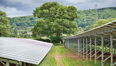 Alternative land uses: Leasing land for solar - key points - Farmers Weekly