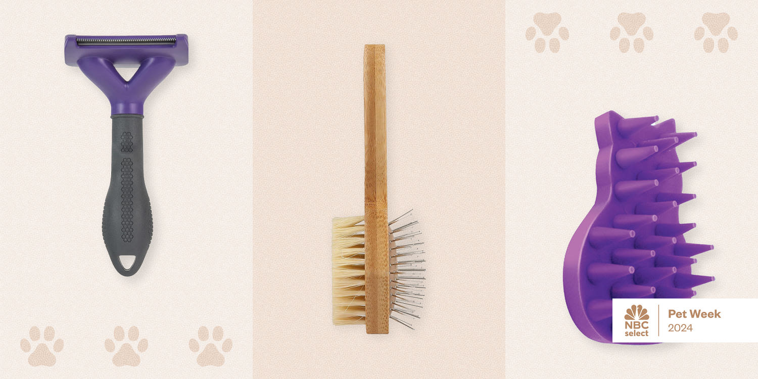 The best cat brushes of 2024, according to groomers and vets