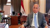 Egypt's COP27 envoy dismisses warning of spying on delegates as 'ludicrous'