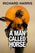 Ein Mann, den sie Pferd nannten