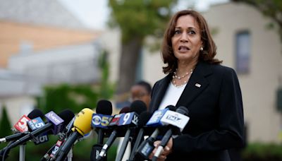 Kamala Harris attends secretive gathering of influential Democratic donors who help steer liberal agenda