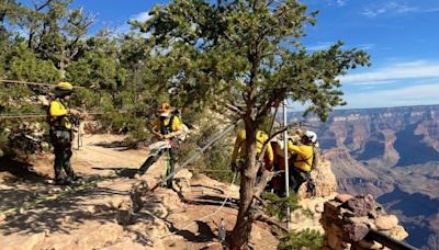 Man falls to death parachuting at the Grand Canyon, second fatality in 2 days at iconic national park
