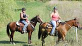Caledonia horse owners concerned about code enforcement