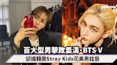 百大型男排行榜擊敗姜濤、甜茶、BTS衝上第二位！認識大勢韓團Stray Kids花美男鉉辰