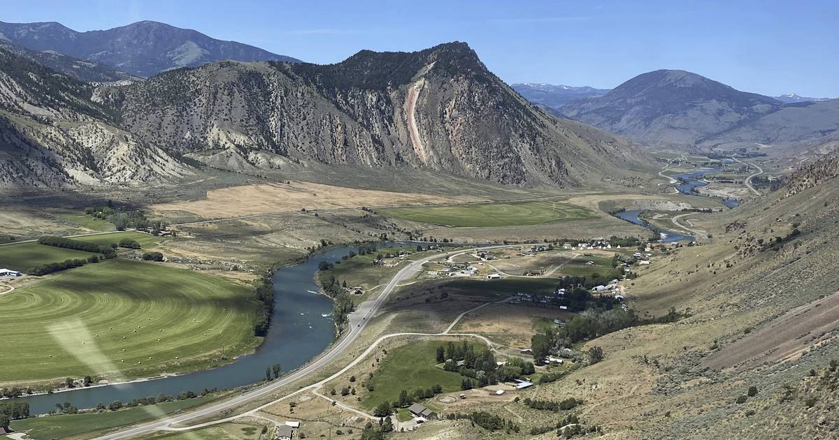 72-year-old kills a grizzly bear in Montana after it attacks while he is picking berries