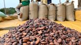 Exclusive: Traders face $1 billion loss on faltering Ghana cocoa supply, sources say