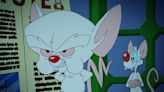 Animaniacs Stars Maurice LeMarche And Rob Paulsen Have Pitch For A Pinky And The Brain Movie, And I Dig It