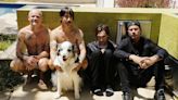 Red Hot Chili Peppers performing at Hollywood Casino Amphitheater in July