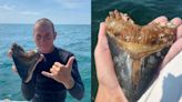 Florida Diver Finds Two Giant Prehistoric Shark Teeth In One Day