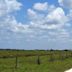 Kissimmee Prairie Preserve State Park