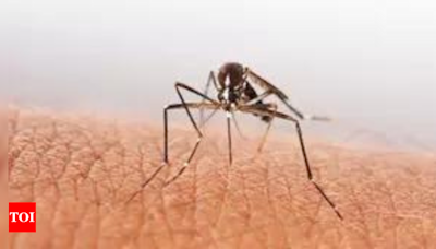 Ludhiana deputy commissioner reviews ongoing drive against dengue and other vector borne diseases | Ludhiana News - Times of India