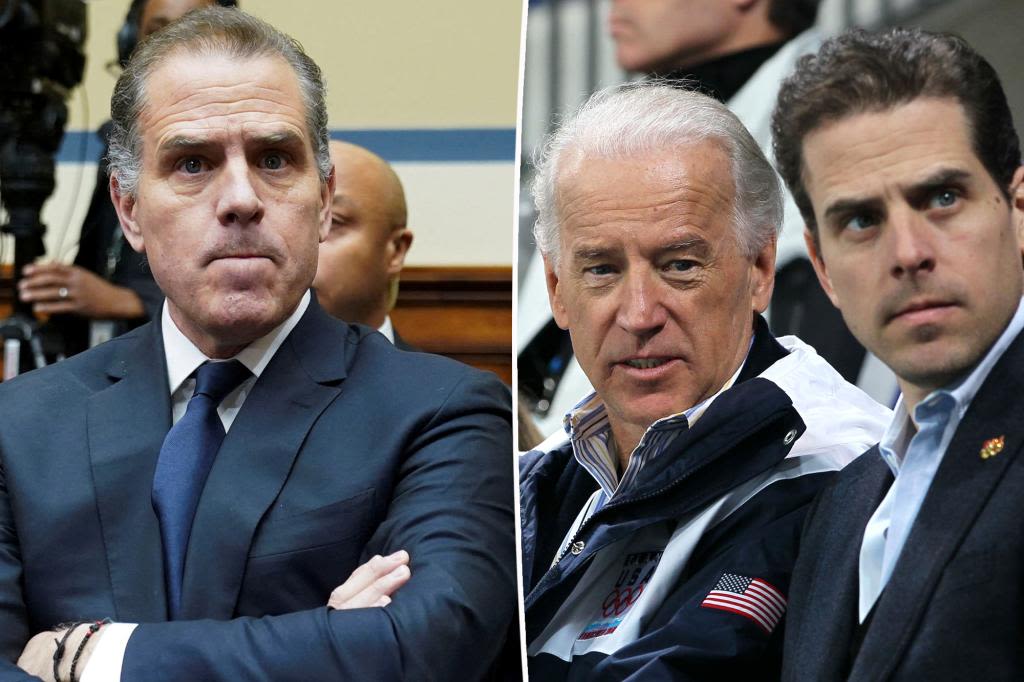 Democratic insiders irked as Hunter Biden attends public White House events: ‘Such a blind spot’