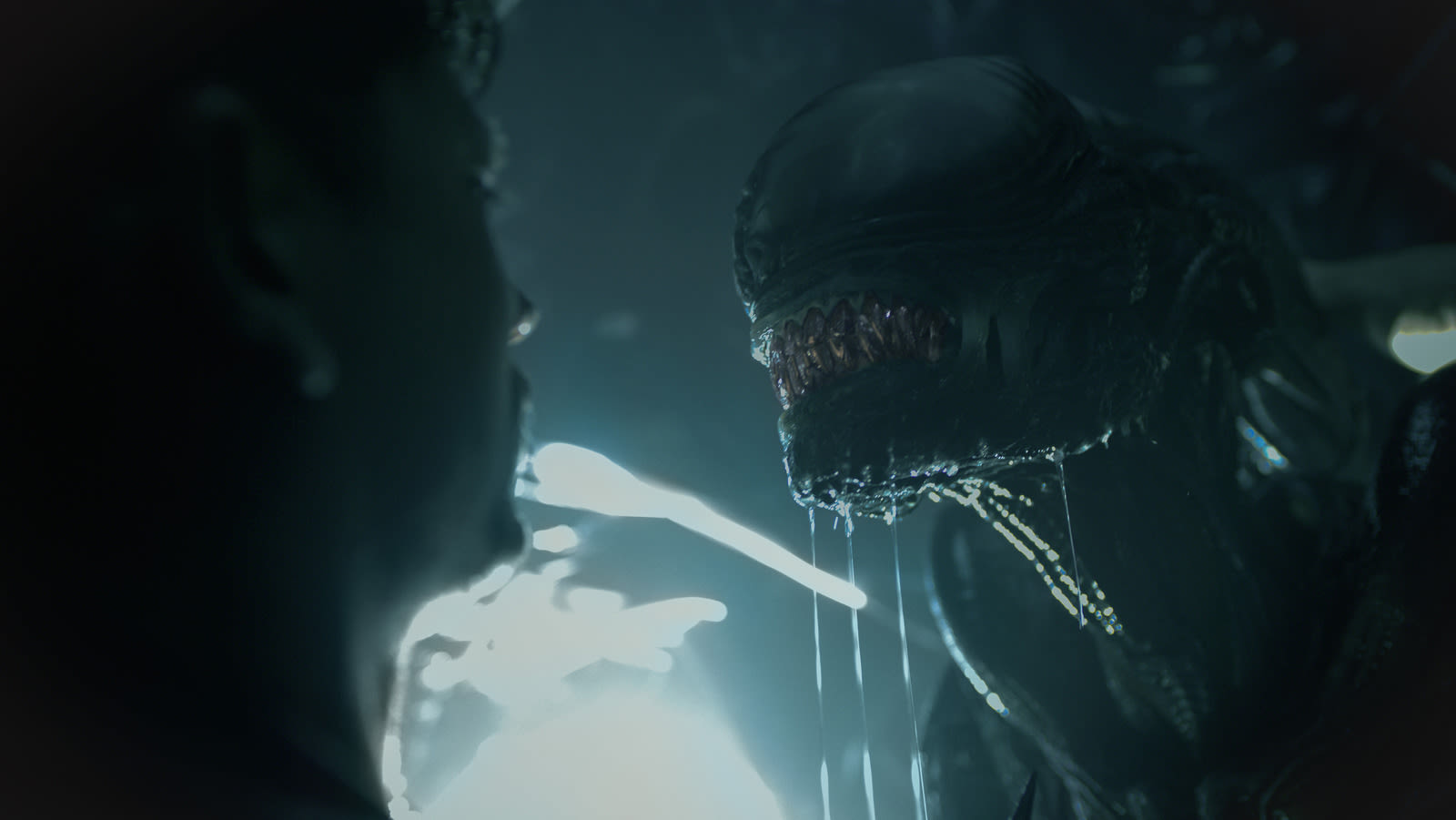 New Alien: Romulus Footage Reveals Practical (And Extremely Scary) Xenomorphs - SlashFilm