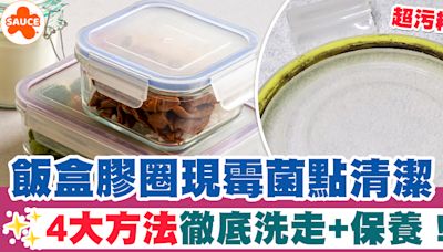 飯盒清潔 | 飯盒膠圈易現霉菌點清潔？4大方法教你徹底洗走+保養！ | SAUCE - 為生活加一點味道